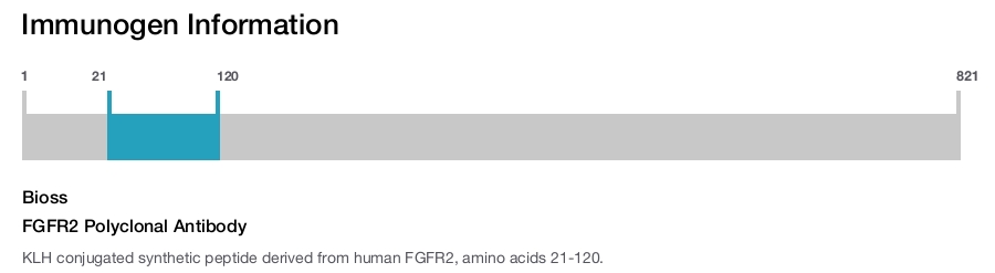 FGFR2 Polyclonal Antibody