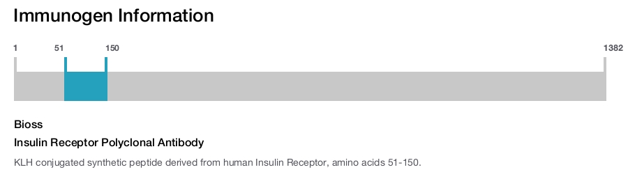 Insulin Receptor Polyclonal Antibody