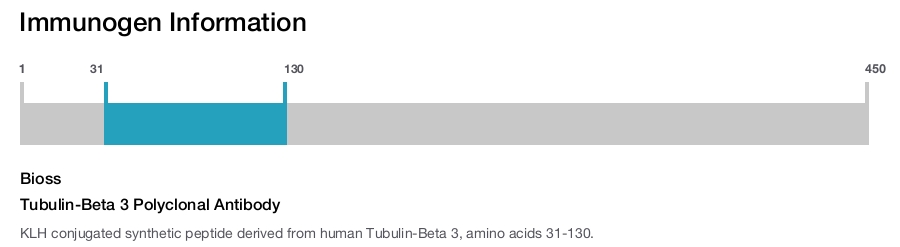 Tubulin-Beta 3 Polyclonal Antibody
