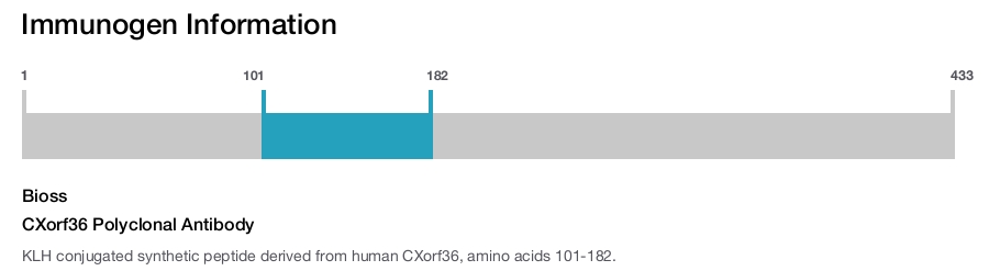 CXorf36 Polyclonal Antibody