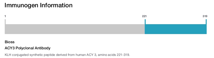 ACY3 Polyclonal Antibody