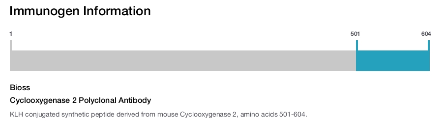 Cyclooxygenase 2 Polyclonal Antibody