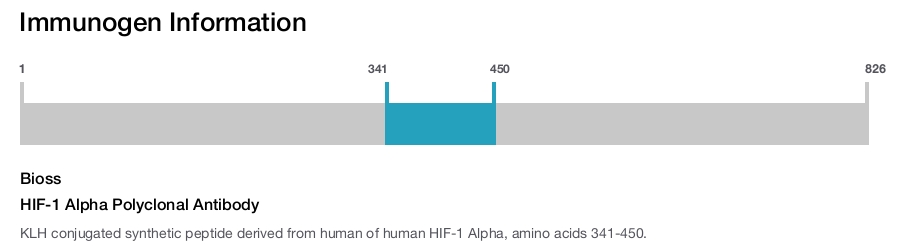 HIF-1 Alpha Polyclonal Antibody