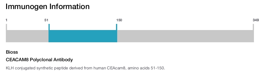 CEACAM8 Polyclonal Antibody