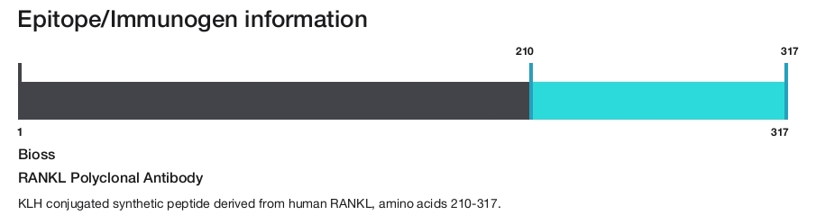 RANKL Polyclonal Antibody