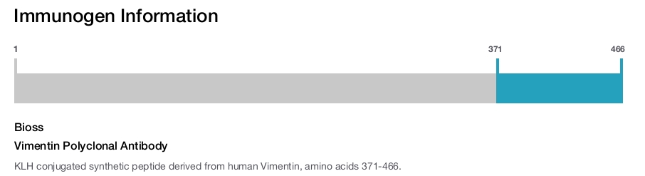 Vimentin Polyclonal Antibody