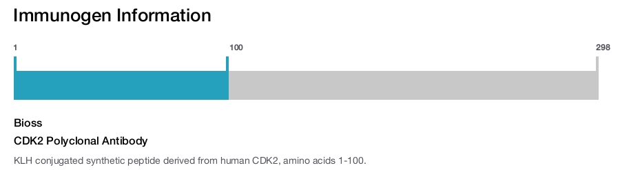 CDK2 Polyclonal Antibody