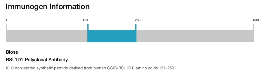 RSL1D1 Polyclonal Antibody