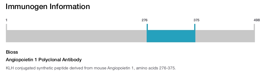 Angiopoietin 1 Polyclonal Antibody