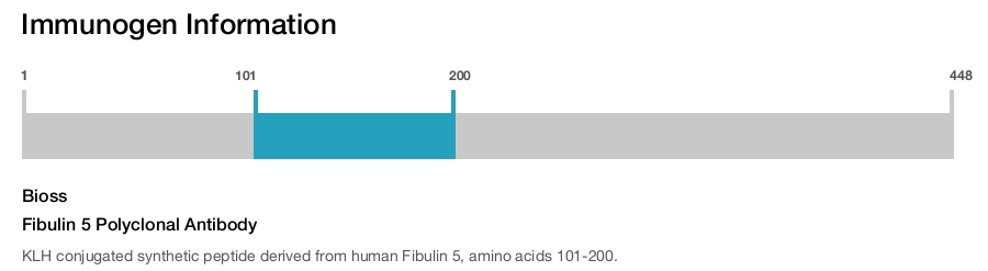 Fibulin 5 Polyclonal Antibody
