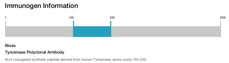 Tyrosinase Polyclonal Antibody