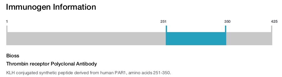 Thrombin receptor Polyclonal Antibody
