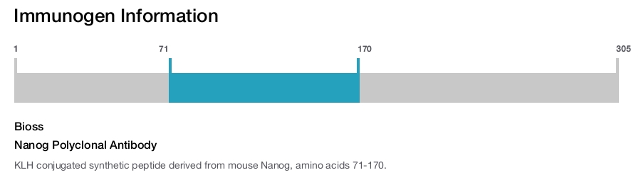 Nanog Polyclonal Antibody