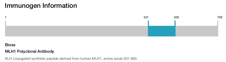 MLH1 Polyclonal Antibody