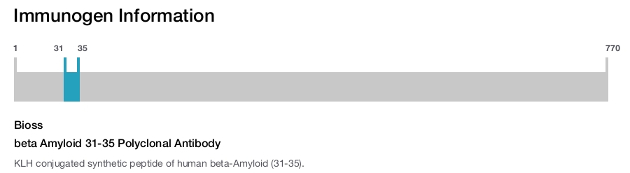 beta Amyloid 31-35 Polyclonal Antibody