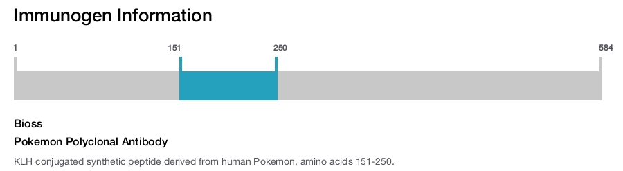 Pokemon Polyclonal Antibody