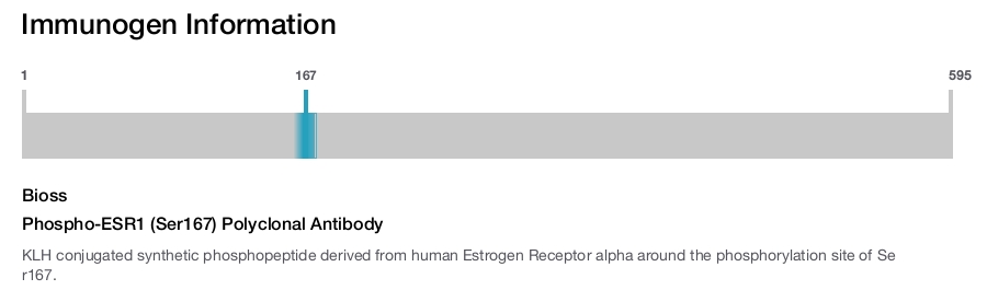 Phospho-ESR1 (Ser167) Polyclonal Antibody