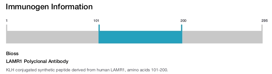 LAMR1 Polyclonal Antibody