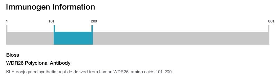 WDR26 Polyclonal Antibody