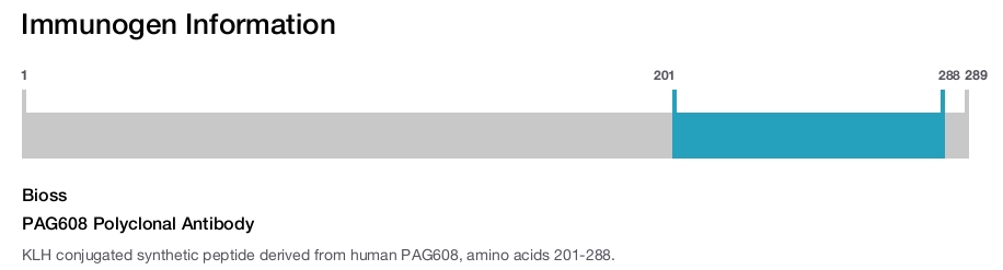 PAG608 Polyclonal Antibody