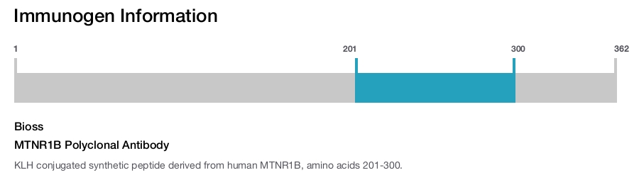 MTNR1B Polyclonal Antibody