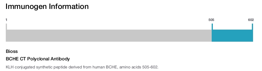 BCHE CT Polyclonal Antibody