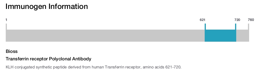 Transferrin receptor Polyclonal Antibody