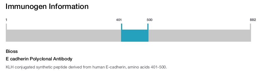 E cadherin Polyclonal Antibody