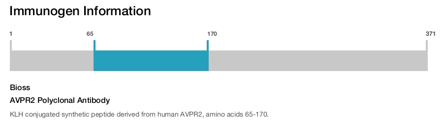 AVPR2 Polyclonal Antibody