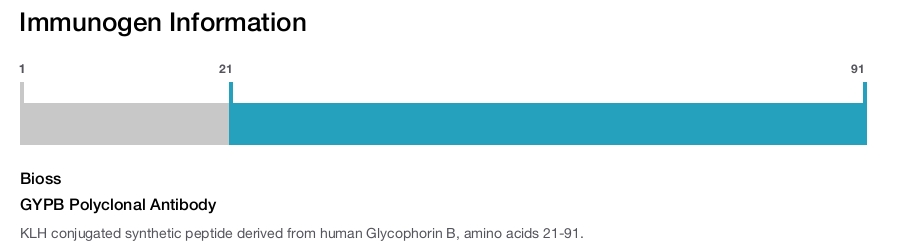 GYPB Polyclonal Antibody