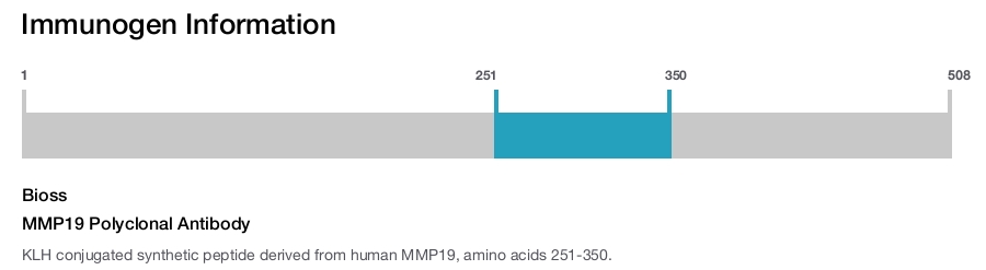 MMP19 Polyclonal Antibody
