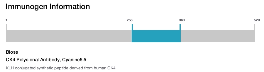 CK4 Polyclonal Antibody, Cyanine5.5