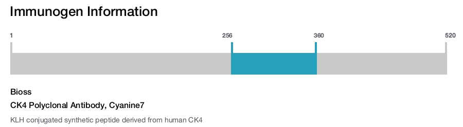 CK4 Polyclonal Antibody, Cyanine7