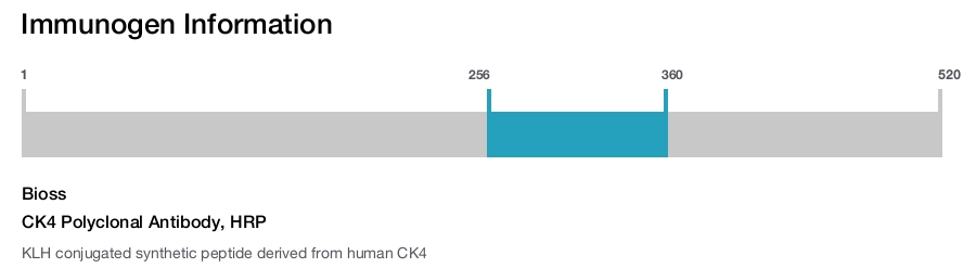 CK4 Polyclonal Antibody, HRP