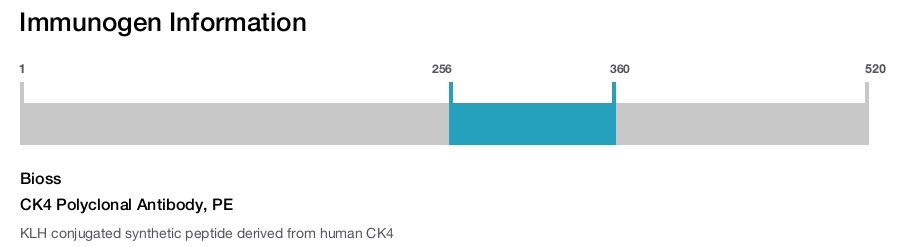 CK4 Polyclonal Antibody, PE