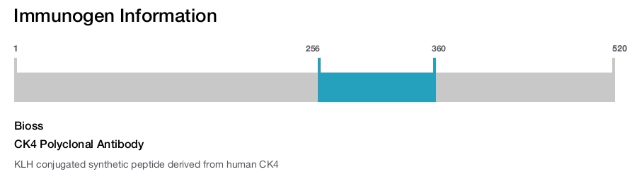CK4 Polyclonal Antibody