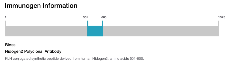 Nidogen2 Polyclonal Antibody