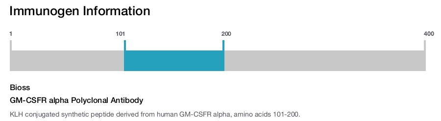 GM-CSFR alpha Polyclonal Antibody