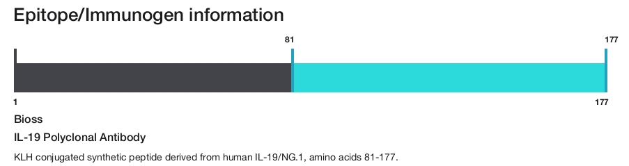 IL-19 Polyclonal Antibody