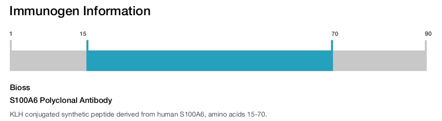 S100A6 Polyclonal Antibody