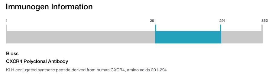 CXCR4 Polyclonal Antibody