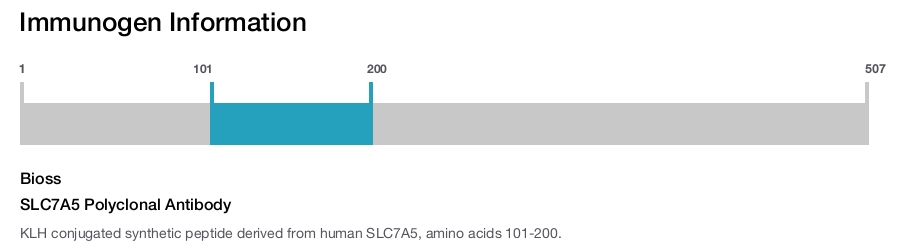 SLC7A5 Polyclonal Antibody