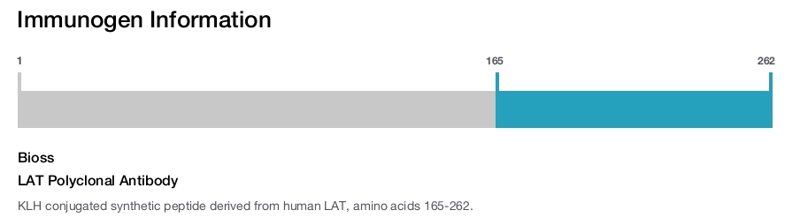 LAT Polyclonal Antibody
