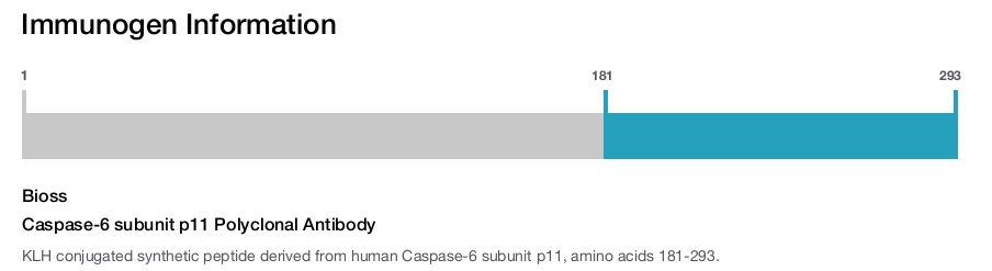 Caspase-6 subunit p11 Polyclonal Antibody