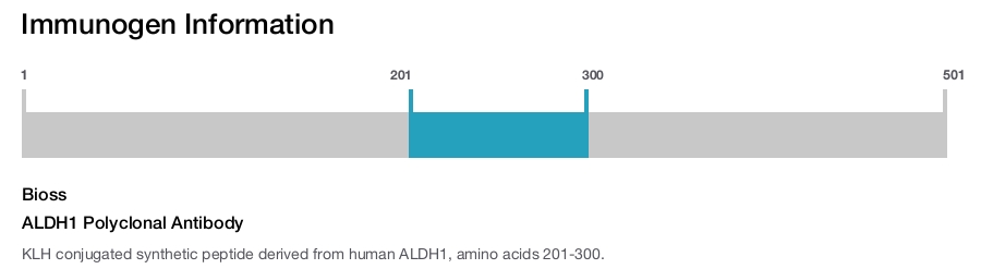 ALDH1 Polyclonal Antibody