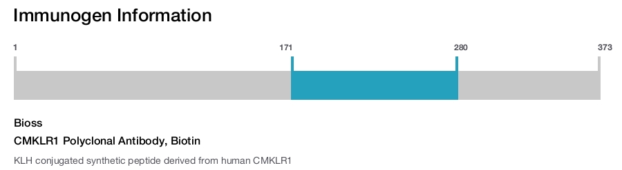 CMKLR1 Polyclonal Antibody, Biotin