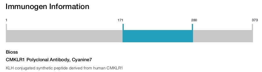 CMKLR1 Polyclonal Antibody, Cyanine7