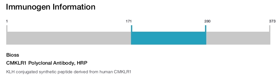 CMKLR1 Polyclonal Antibody, HRP