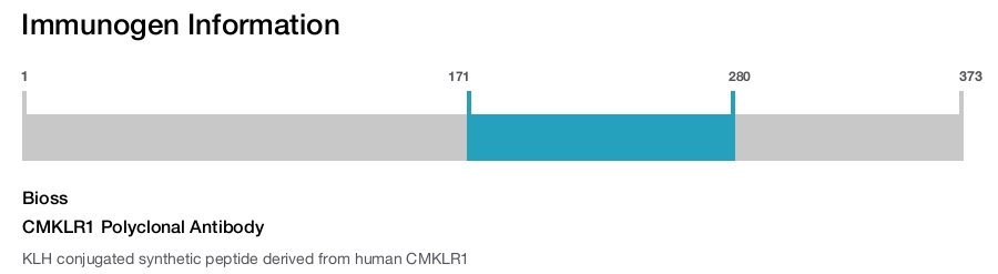CMKLR1 Polyclonal Antibody