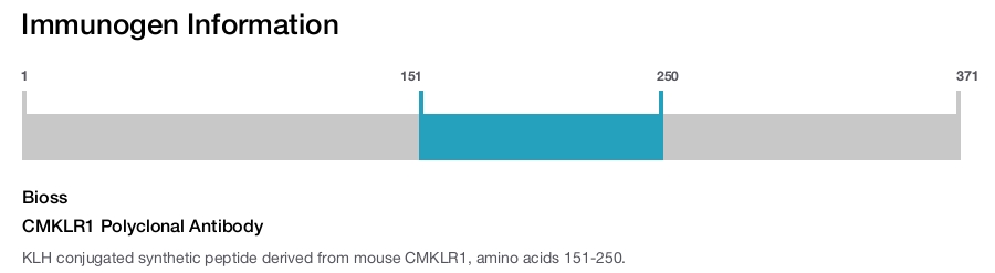 CMKLR1 Polyclonal Antibody